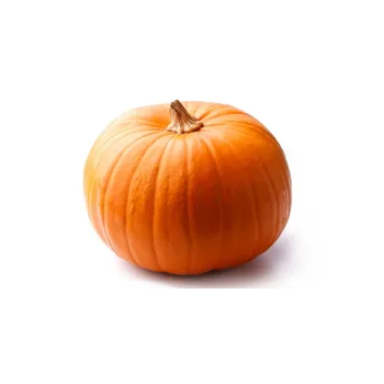 Fresh pumkin (5)-9472705-89837.webp